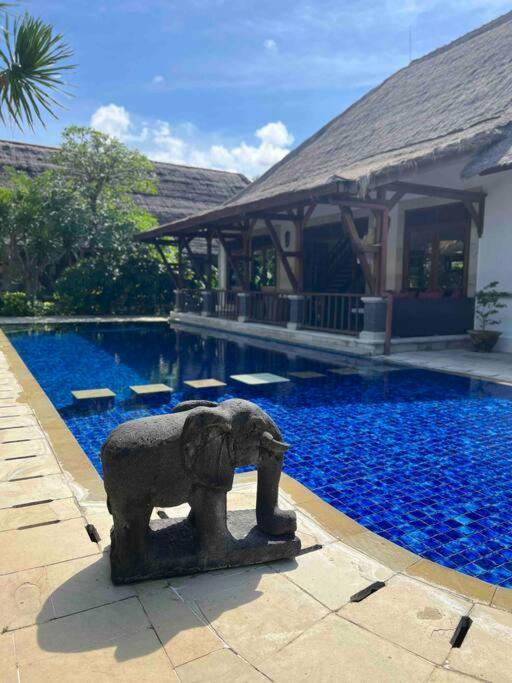 Bali Berg Villa, Sanur Bagian luar foto