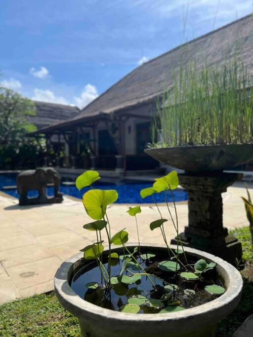 Bali Berg Villa, Sanur Bagian luar foto